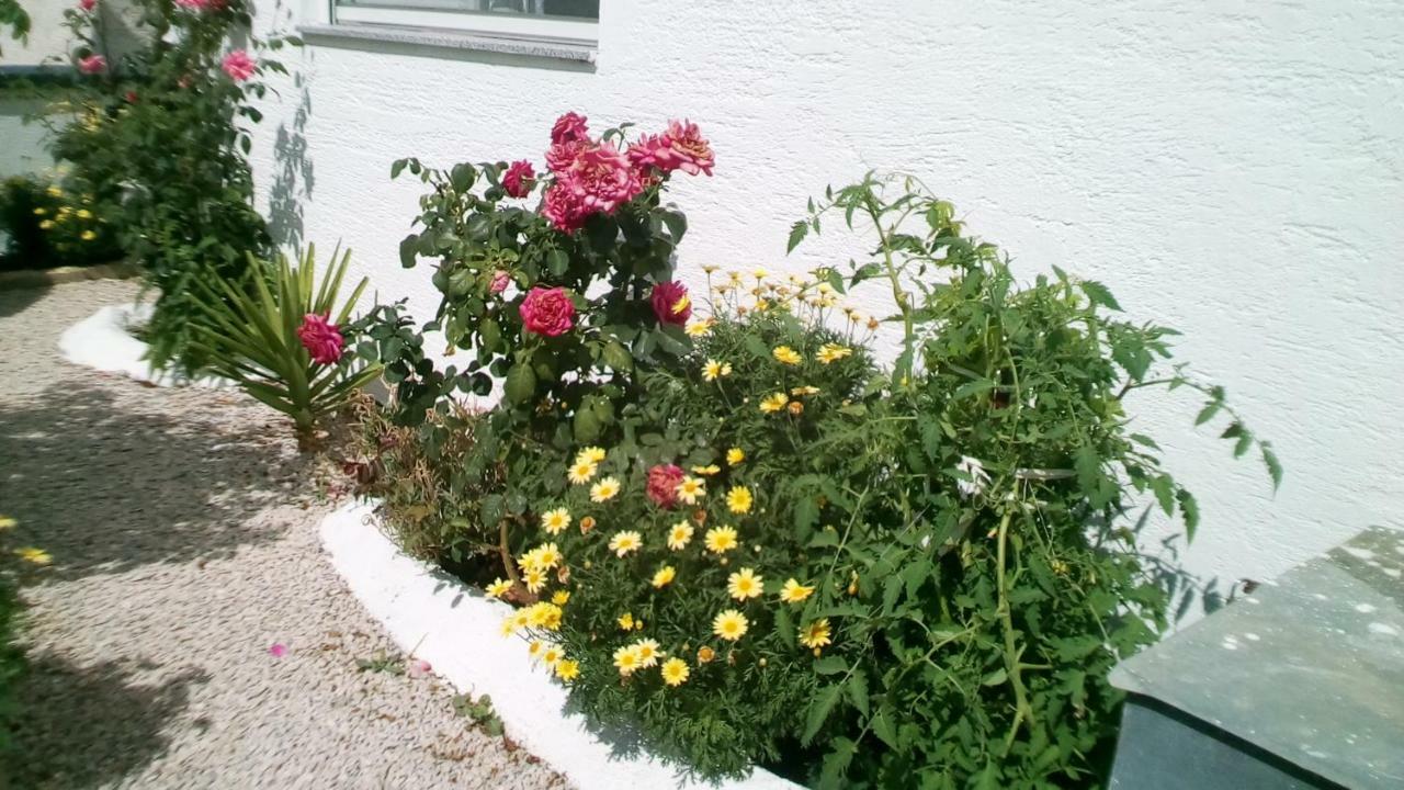 Apartment Roko Vir Dış mekan fotoğraf